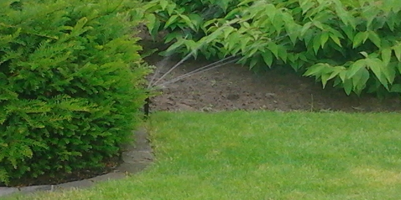 Irrigatiesysteem.jpg